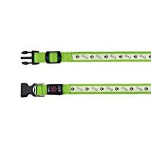 Obojek USB svítící 30-40cm/25mm S-M zelený TR*