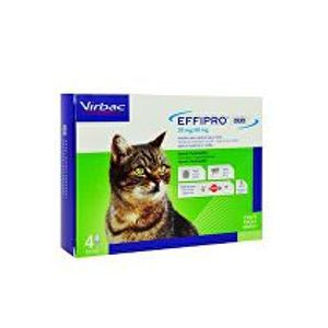 Effipro DUO Cat (1-6 kg) 50/60 mg, 4x0,5 ml