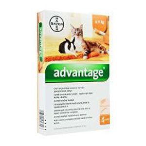 Advantage 40 10% 4x0,4ml pre malé mačky a králiky