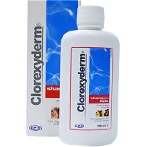 Clorexyderm forte šampón ICF 200ml