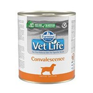 Vet Life Natural Dog Cons. Konvalescencia 300g