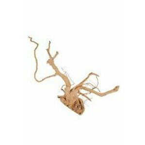 Akváriová dekorácia pavúk koreň 50-60cm Zolux
