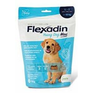 Flexadin 4Life Young Dog Maxi Chewable 60tbl