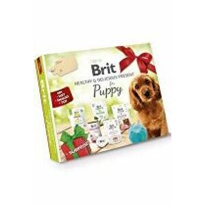 Brit Care Box Dog Puppy EU made Snacks+Surprise