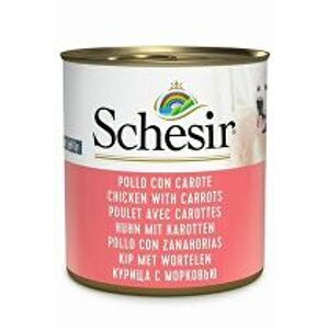 Schesir Dog Cons. Kuracie mäso/mrkva pre dospelých 285g