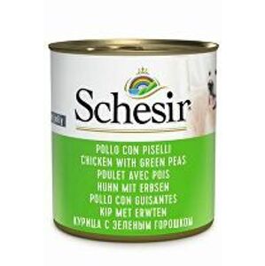 Schesir Dog Cons. Kuracie mäso/hrášok pre dospelých 285g