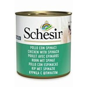 Schesir Dog Cons. Kuracie mäso/špenát pre dospelých 285g